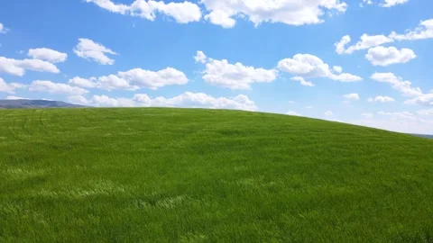 Wheat Fields and Cloudy Blue Sky Stock Footage 332400333