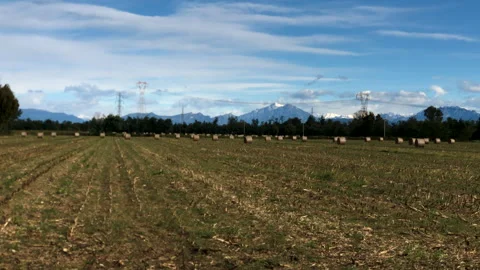 Wheat fields and hay bales in autumn - Northern Italy Видео 274532767