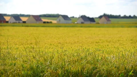 Wheat Fields and Houses in the Suburbs of Paris Vidéo 330614906