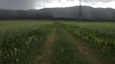 Wheat Fields and Rain Video stock 133063054