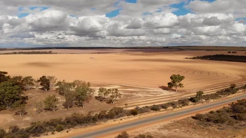 Wheat fields Australia Stock Footage 118040292