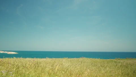 Wheat fields, Blue sky, Seashore in Italy Video stock 278410951