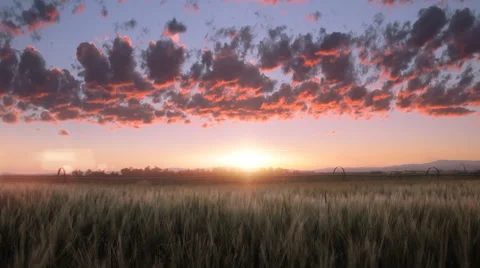 Wheat fields in Bozeman Montana Stock Footage 60793226