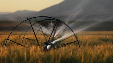 Wheat fields in Bozeman Montana Stock Footage 60794125
