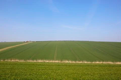 Wheat fields in burdale Stock Photos