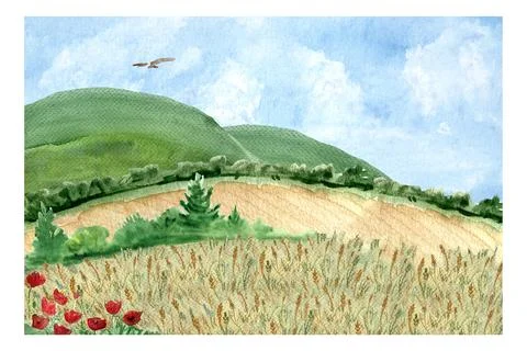 Wheat fields with bush borders, kite, hills, sky and poppy flowers watercol.. Stock Illustration