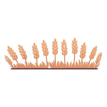 Wheat fields, cartoon oat, barley, rye, wheat ears stalks, vector flat cereal Stock Illustration