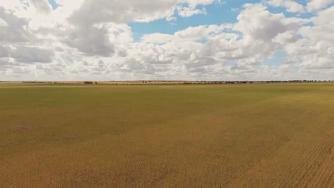 Wheat Fields Stock Footage 118040265
