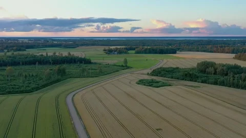 Wheat Fields Stock Footage 250357322