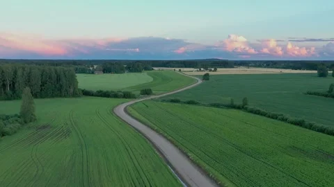 Wheat Fields Stock Footage 250357366