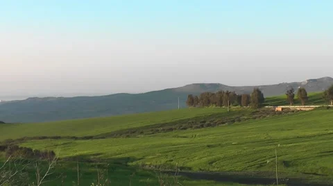 Wheat fields green with a road in the background Stock Footage 49179292