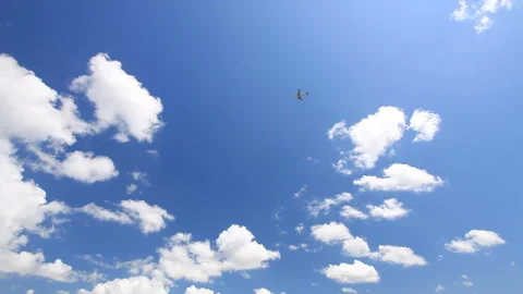 Wheat Fields, Groves, and Rays of Sunlight Vídeos de archivo 330245337
