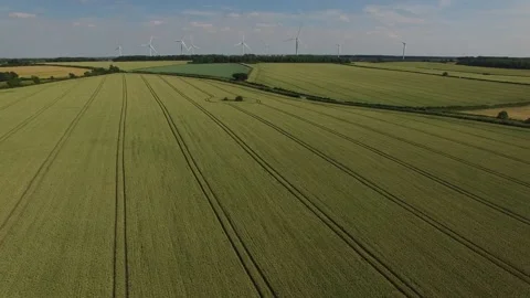 Wheat fields in high summer and wind turbines Northamptonshire England UK Stock Footage 132268298