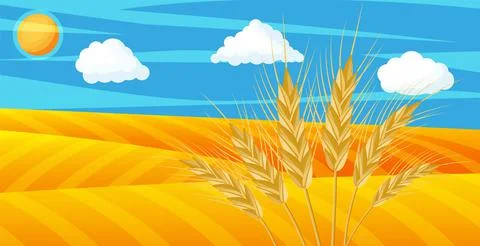 Wheat in fields. Nature landscape with ear harvest Stock Illustration