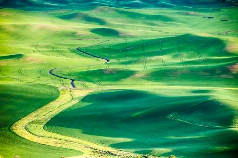 Wheat Fields In The Palouse Foto stock