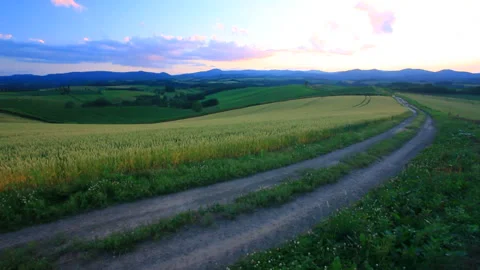 Wheat Fields, Roads, and the Evening Moon Видео 330449689