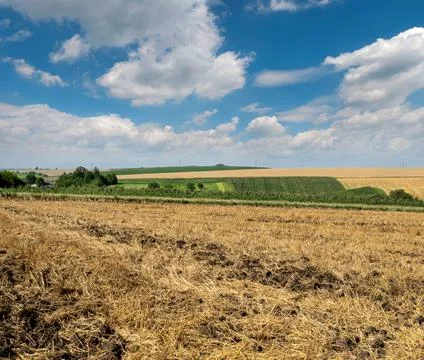 Wheat fields, straw stubble in the foreground, hills, green soybeans, on a ba Stock Photos