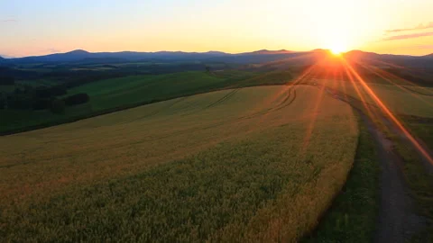 Wheat Fields, Sunset, and the Road 動画素材 330449527
