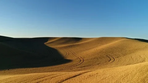 Wheat Fields at Sunset Vidéo 78172023