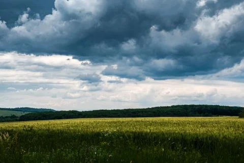Wheat fields under a dramatic sky Stock Photos