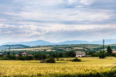 Wheat fields under a dramatic sky Stock Photos