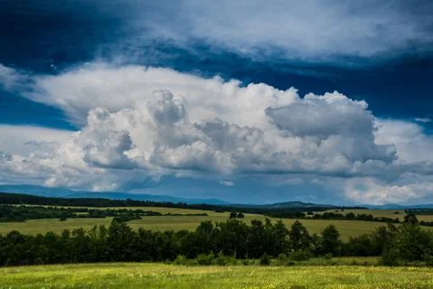 Wheat fields under a dramatic sky Stock Photos