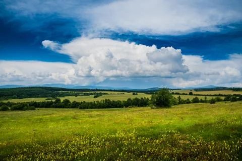 Wheat fields under a dramatic sky Stock Photos