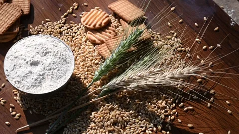 Wheat flour and wheat ears on a wooden table backgrounds, close up of grains. Stock Footage 302343272