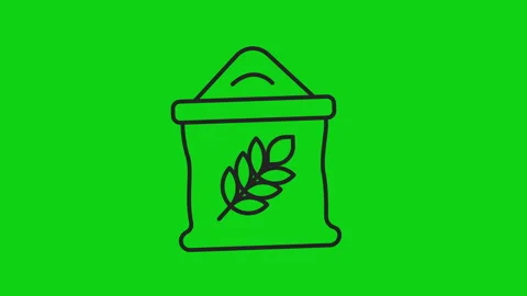Wheat flour line icon animation on green screen background Stock Footage 317749374