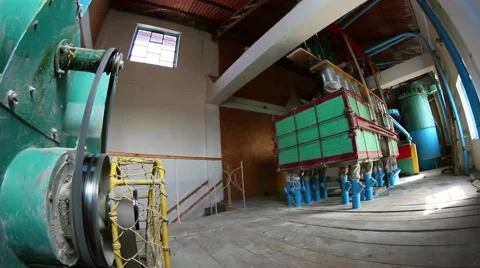 Wheat flour milling machine 動画素材 42237330
