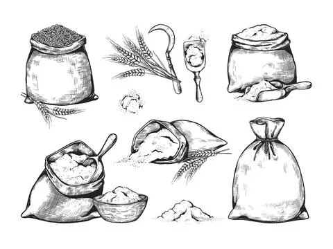 Wheat flour. Sugar sack hand drawing. Corn cereal or engraved line bread mill Stock Illustration