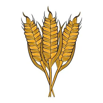 Wheat food symbol scribble Stock Illustration