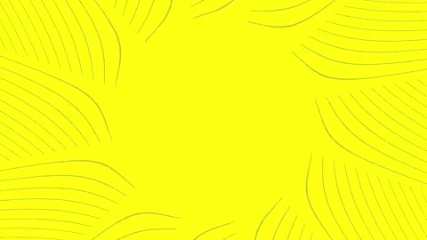 Wheat Stock Footage 335747802