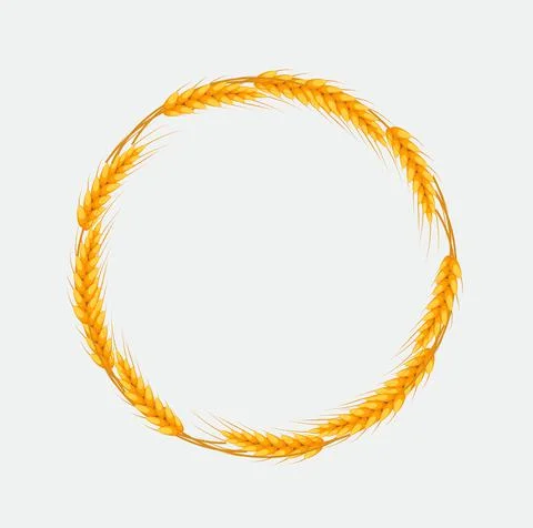 Wheat frame with place for text. Template for your design. Vector illustration Stock Illustration