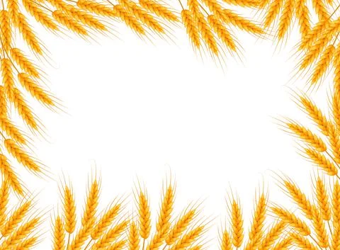 Wheat frame with place for text. Template for your design. Vector illustration Stock Illustration