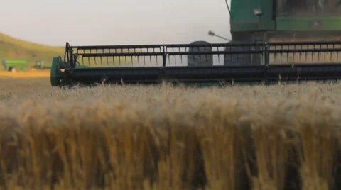 Wheat in front of Close Harvesting Combine (Kansas USA) Vídeo Stock 61741362