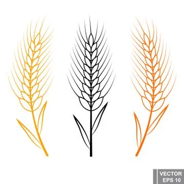 Wheat germ. Flat illustration. Icon isolated on white background. Stock Illustration