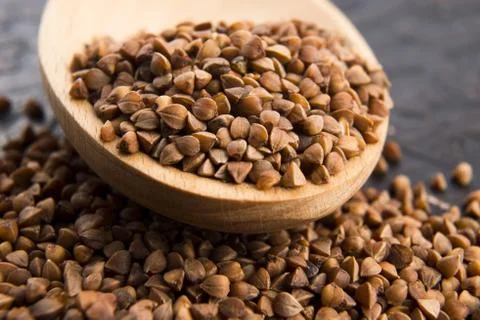 Wheat Germs Stock Photos