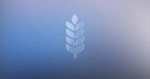 Wheat Glass 3d Icon Stock Footage 76956013