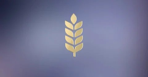 Wheat Gold 3d Icon Stock Footage 76956184