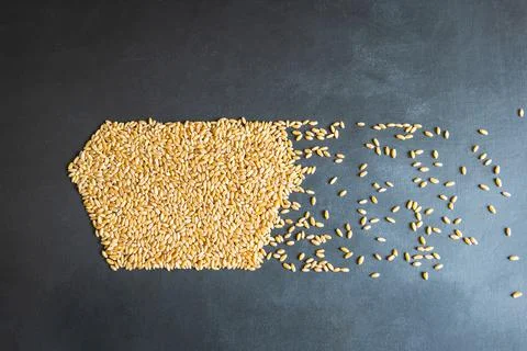 Wheat grain abstract shape concept flat overhead view Fotos de archivo