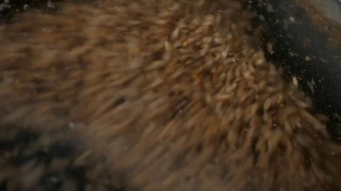 Wheat grain beating on the glass at the mill slow motion Video stock 75442940