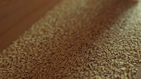 Wheat grain being shaken inside a wooden Trough to be pulvered into flour Stock Footage 85215489