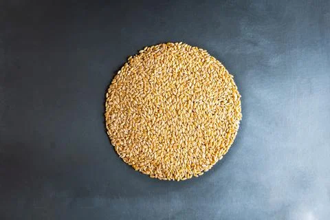 Wheat grain chart pie shape concept flat overhead view Foto stock