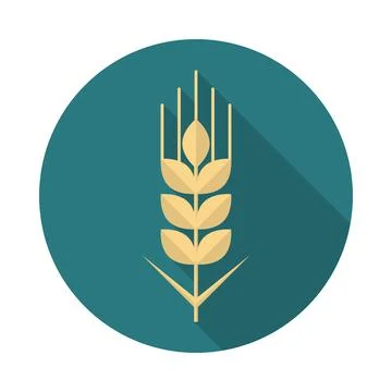 Wheat grain circle icon with long shadow. Flat design style. Stock Illustration