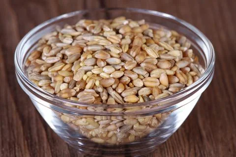 Wheat grain close up Stock Photos