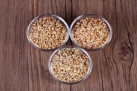 Wheat grain close up Stock Photos