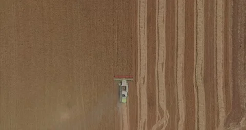 Wheat grain Combine harvester processing a field Stock Footage 197097826