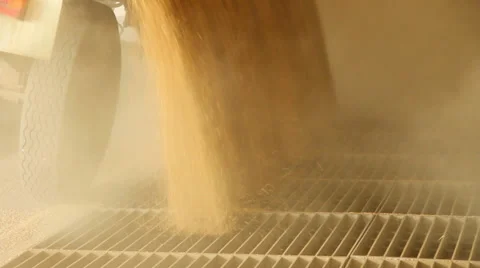 Wheat grain falling in a silo Video stock 35802905