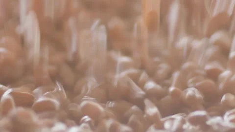 Wheat grain falls and moves in a pile of seeds on a conveyor belt creating. Stock-Footage 274056147